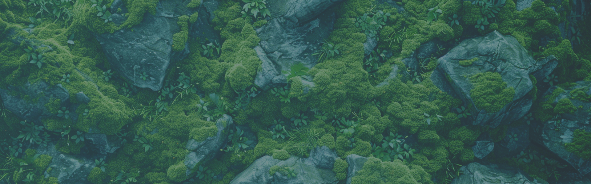 Мобильное изображение баннера